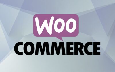 Pourquoi utiliser WooCommerce pour créer sa boutique en ligne : 5 raisons